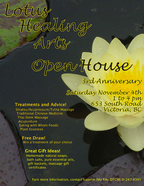 Lotus Healing Arts Poster